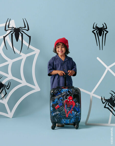 Nos incroyables sacs Spider-Man